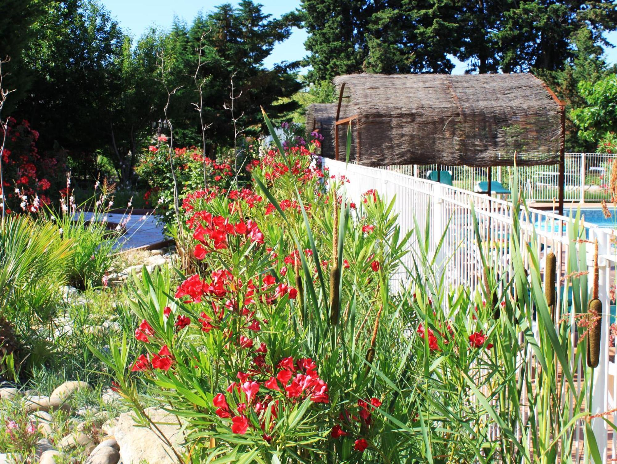 Appart'Hotel Festival Sud Aqua - Avignon Tgv Exterior photo